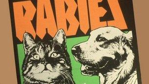 UK Rabies warning poster in 1982