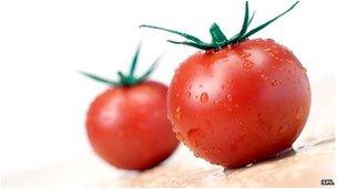 Tomato genome science