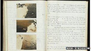 Levick notebook (Image: NHM/R Kossow)