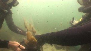 Deep sea divers picking trash underwater