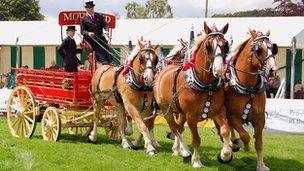 Heavy horses at Royal Norfolk Show 2011