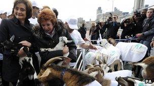 Cherie Blair and Cilla Black with goats