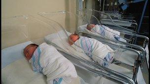 new born babies in hospital ward