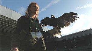 Rufus the hawk, on Centre Court with handler Imogen Davies