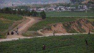 North Korean farmers tend a field on the outskirts of Pyongyang