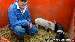 Guy Kiddy and piglets