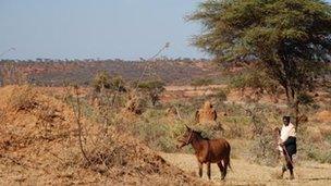 Grazing land - archive pic