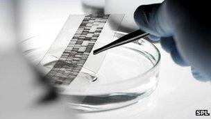 A strip of DNA identification