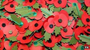 Remembrance Day poppies