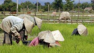 Workers in a field in Laos