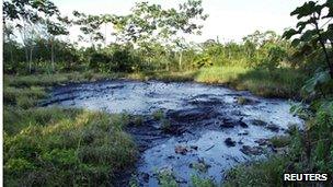 File photograph showing crude oil in a jungle clearing in 2003