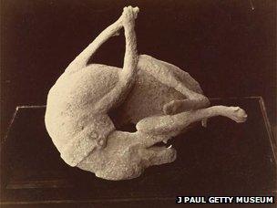 1874 photo of a plaster cast of a dog killed in the eruption - image courtesy of J Paul Getty Museum