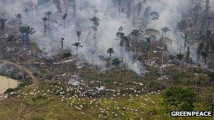 Man-made fires to clear land for farming in Sao Felix Do Xingu Municipality, Para, Brazil
