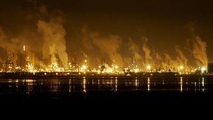 Grangemouth and Longannet lights help birds feed at night - BBC News