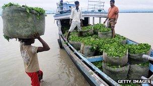 An Indian labourer carries a bag of tea leafs to a motor boat in Guijan village