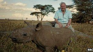 BBC to be clearer about wildlife footage on Africa - BBC News