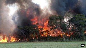 Bush fire in Cessnock, NSW Australia (18 Jan 2013)