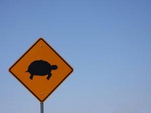 Turtle road sign
