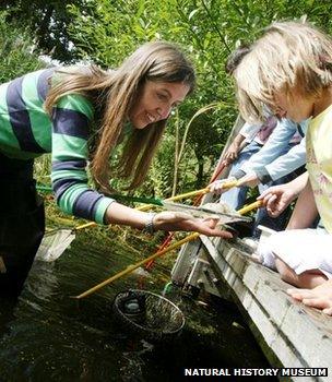 Children taking part in a survey of a pond (Image: Natural History Museum)