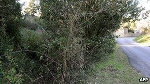 The thicket where the woman's body was found in Courbessac, Nimes