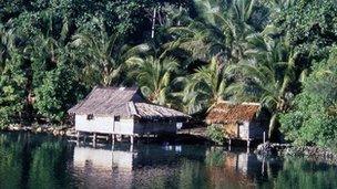 House in Solomon Islands (file image)