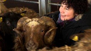 Sheep farmer Anette Back-Olsson with sheep