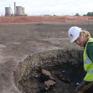 Animal skulls found during the dig at Didcot
