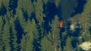 Cabin where Christopher Dorner is suspected to be holed up