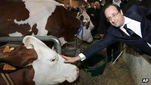 French President Francois Hollande, right, strokes a cow as he starts his visit to the annual Agricultural Salon fair in Paris, Saturday
