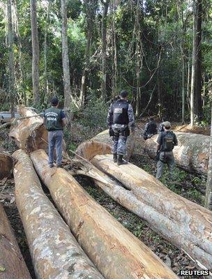 Officers involved in a seizure of suspected illegal logging (Brazil) (Image: Reuters)