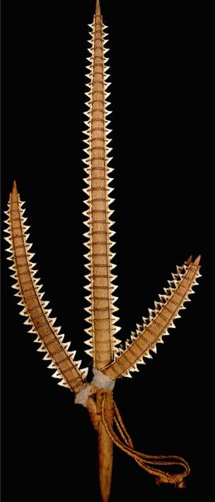 Weapon constructed from shark teeth (Image: PLoS One)