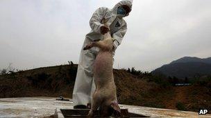 A health worker lowers dead pigs into a processing pit, where the carcasses will be fermented into organic fertilizers, at a hog farm in Zhuji city, in eastern China's Zhejiang province, 21 March 2013