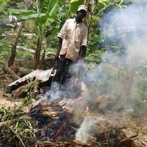 A charcoal burner in Jamaica