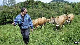 Молочный фермер в Лакейе, центральная Франция - фото из файла