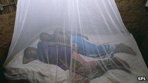Couple sleeping under a mosquito net in Kenya