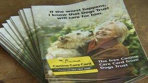 Canine Care Card leaflets