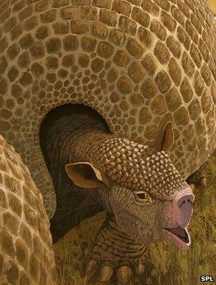 Artist's impression of giant armadillo-like creature (Image: Science Photo Library)