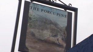 The Porcupine