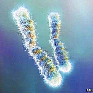 Telomeres cap the end of our chromosomes