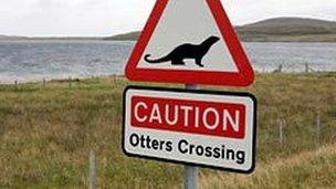 Otter crossing sign