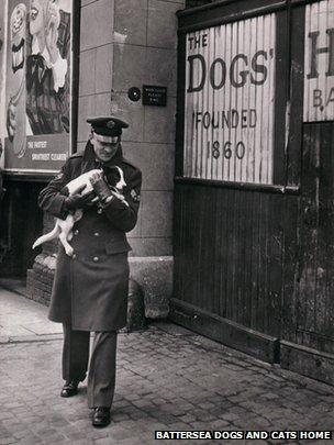 RAF serviceman bringing a dog to Battersea's gates in WW2