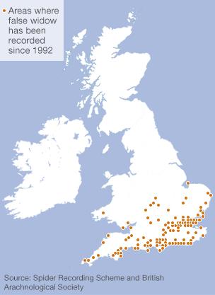 Map showing distribution of false widow in UK