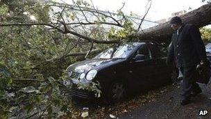 A car damaged by a fallen tree
