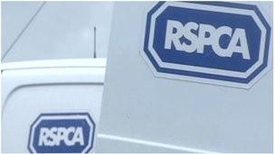 RSPCA