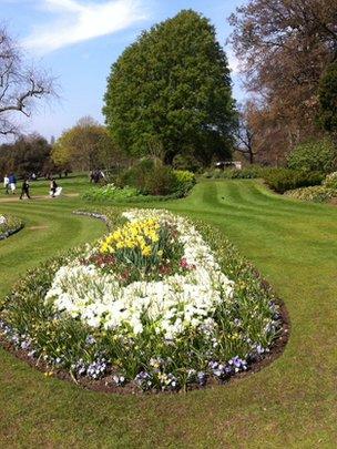 Formal garden and Caucasian elm, Hyde Park (Image: BBC)