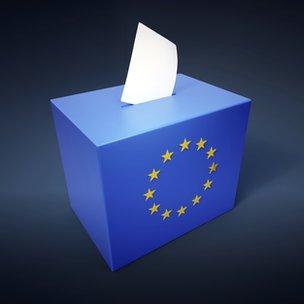European parliamentary elections abstract