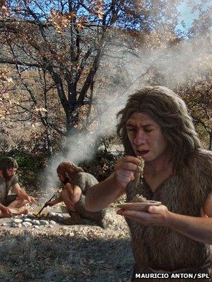 Neanderthal illustration