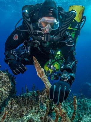 Antikythera shipwreck