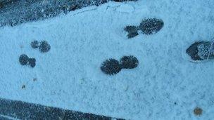Sneachda