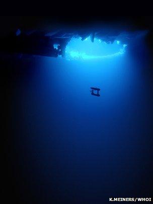 AUV seen under the Sea Ice